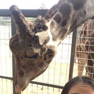 Meet your Posher, Malena